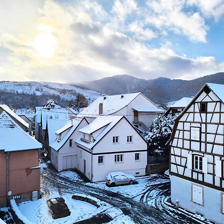 Апартаменты Duplex Moderne A 10 Minutes De Colmar Винтсенайм Экстерьер фото