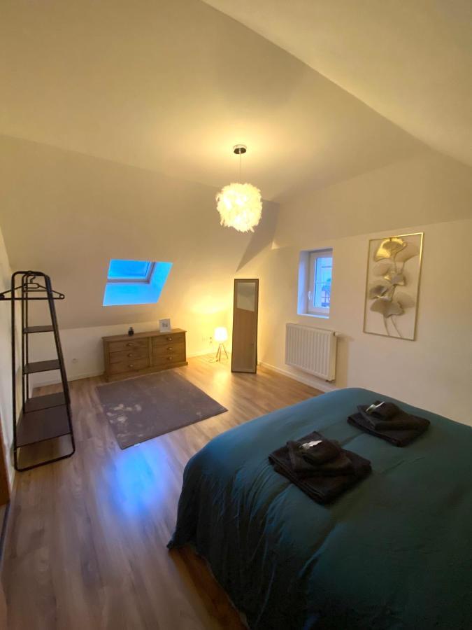 Апартаменты Duplex Moderne A 10 Minutes De Colmar Винтсенайм Экстерьер фото